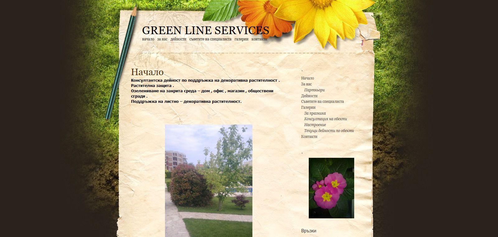 GREEN LINE SERVICES